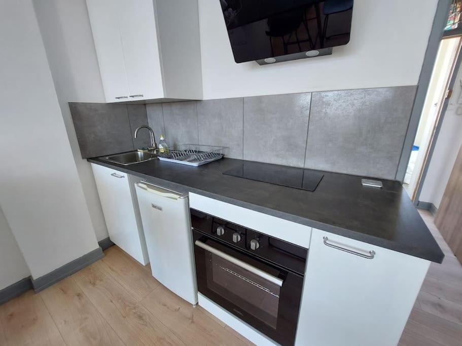 Apartamento Le Voltaire - T2 Neuf Face Pyrenees Tarbes