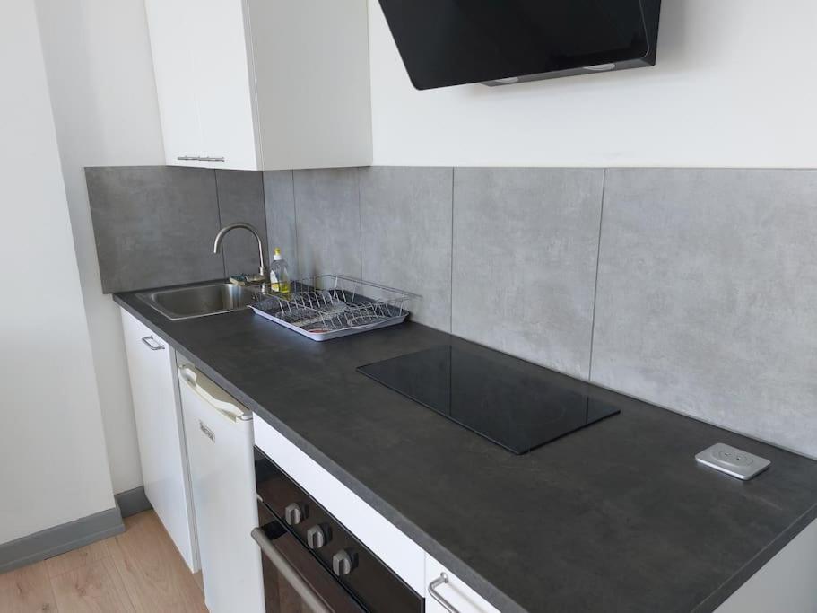 Apartment Le Voltaire - T2 Neuf Face Pyrenees *